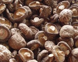 要问秤准不准 先看心正不正