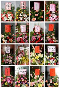 '桃园县长吴志扬、副县长李朝枝、新竹县长邱镜淳、新竹市长许明财、副市长游建华、桃园县议会议长邱奕胜、副议长李晓钟、桃园县议员李云强、李丽珠、邱素芬、许森能、黄婉如、黄景熙、桃园市市民代表简佩玉、龟山乡代理乡长林茂山、新竹市议员蔡锟钰、国民党桃园县十八全党代表联谊会执行长彭武坤等政要与民意代表,致赠花篮祝贺神韵演出成功。'