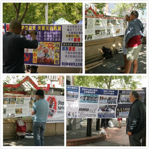 悉尼民众仔细阅读真相横幅