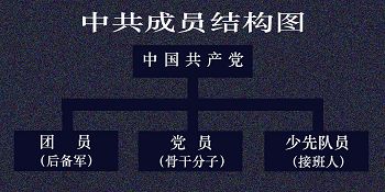 中共由党、团、队三个层面构成,看看你加入过什么。(原创图片)