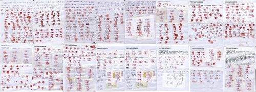 八百九十七人签名呼吁立即释放葛秀丽