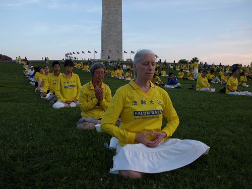 图6:安• 可森(Ann Corson)