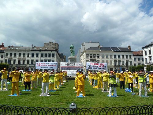 二零一六年七月十二日到十四日之间，法轮功学员在布鲁塞尔欧洲议会外展示功法，讲述中共活摘法轮功学员器官真相。