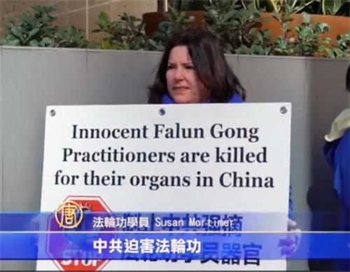 '图3：手举反活摘展板的居住在珀斯以南四百五十公里奥尔巴尼（Albany）的法轮功学员莫蒂默（Susan Mortimer）女士为了参加当天的活动，她提前一天驱车五小时赶到珀斯。'