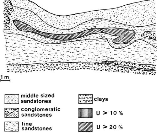 '图2:2号反应堆剖面图,堆芯边缘铀浓度迅速过渡到0.5%(J.