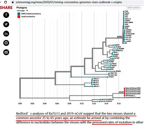 '图:美国科学周刊上Jon Cohen综述论文的截图1,25年的进化时间是以假定的突变速率计算。'