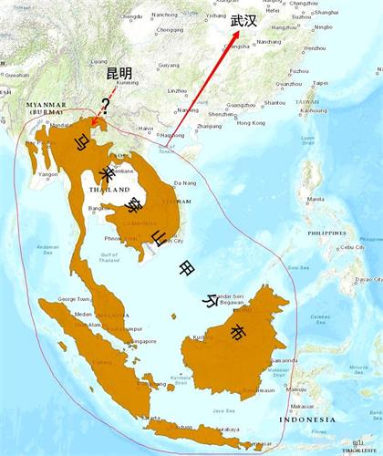 '图:“穿山甲假说”有巨大障碍,昆明的菊头蝙蝠(不迁徙)如何跨越高山深谷,把病毒传到东南亚?(作者提供)'