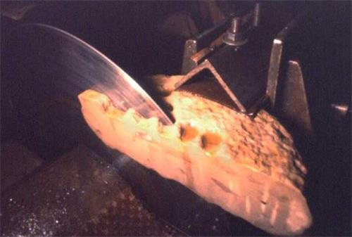 '图4:对小孩脚印化石进行切割'