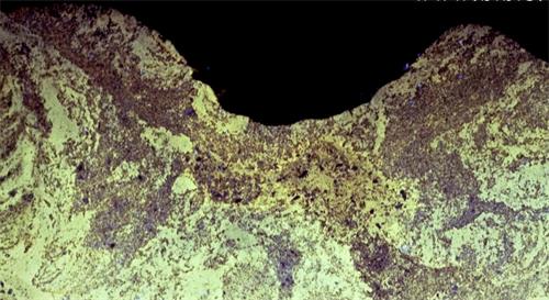 '图5:化石切割面的压力线'