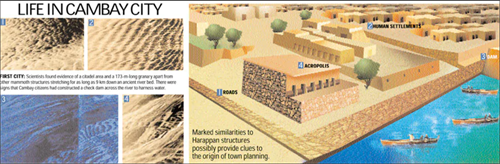 '图18:印度坎巴特湾文化遗迹'