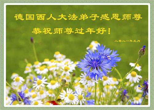 '图1：德国西人学员感恩师尊传大法，恭祝师父过年好！'