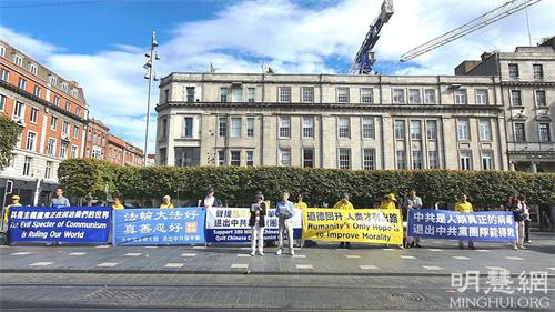 '图8：爱尔兰退<span