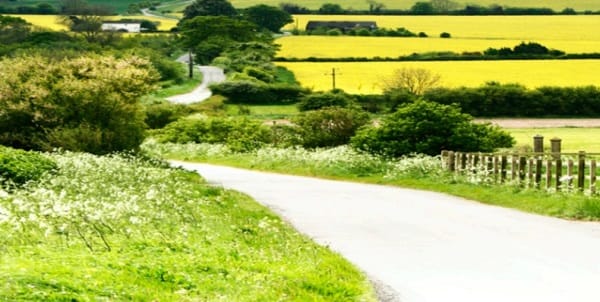 上图:祝大家春风得意,春耕秋满。(明慧网)