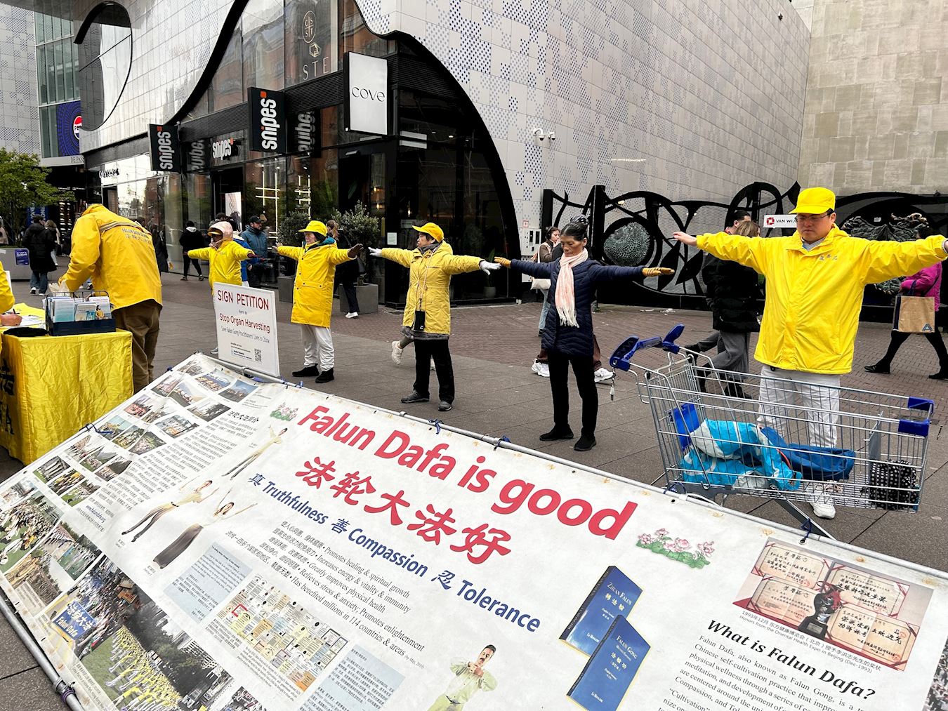 '图11:荷兰法轮功学员在海牙市中心展示功法'