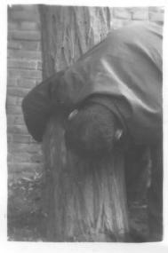 '身子朝下铐在树上'