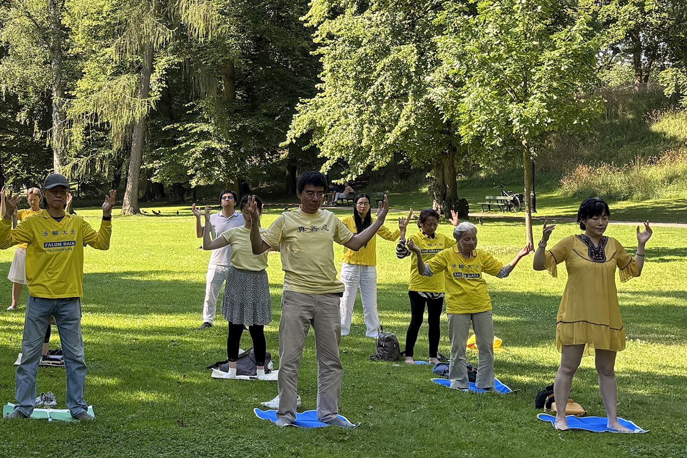 '图1:二零二五年七月十九日法轮功学员在挪威奥斯陆王家公园展示法轮功五套功法。'